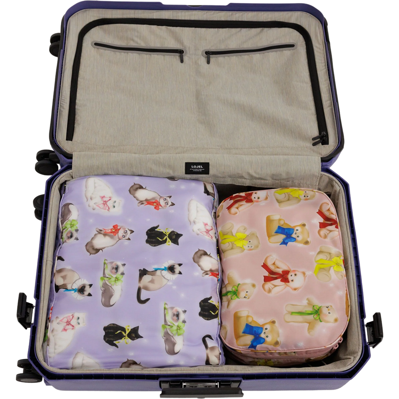 Large Packing Cube Set, BAGGU Large Packing Cube Set in suitcase