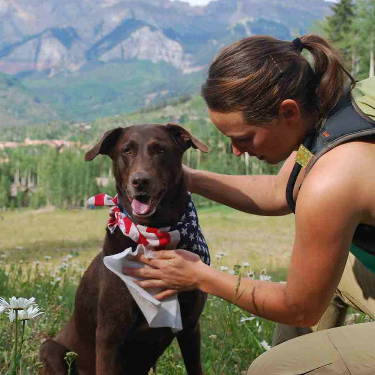 Adventure Dog Wipes alternate view