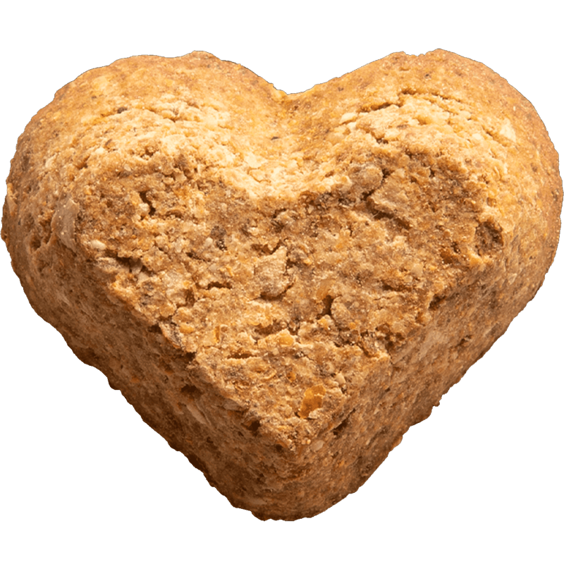 Doghouse Rock Baked Dog Biscuits, GivePet Doghouse Rock Baked Dog Biscuits heart shape