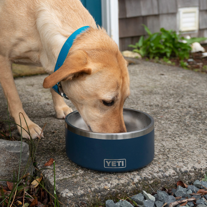 Boomer 4 Dog Bowl, Yeti Boomer 4 Dog Bowl with dog