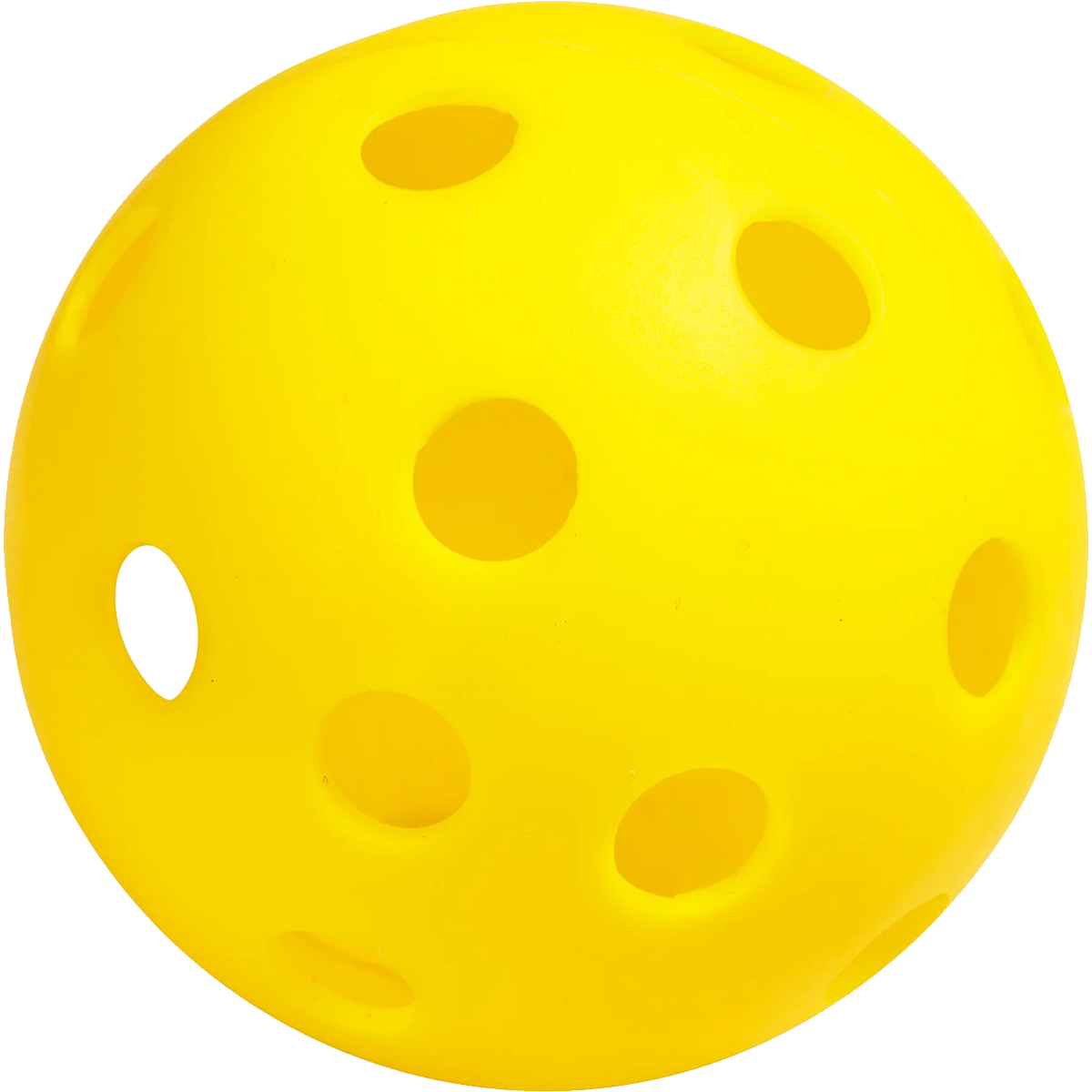 Recruit Beginner Pickleball Set alternate view