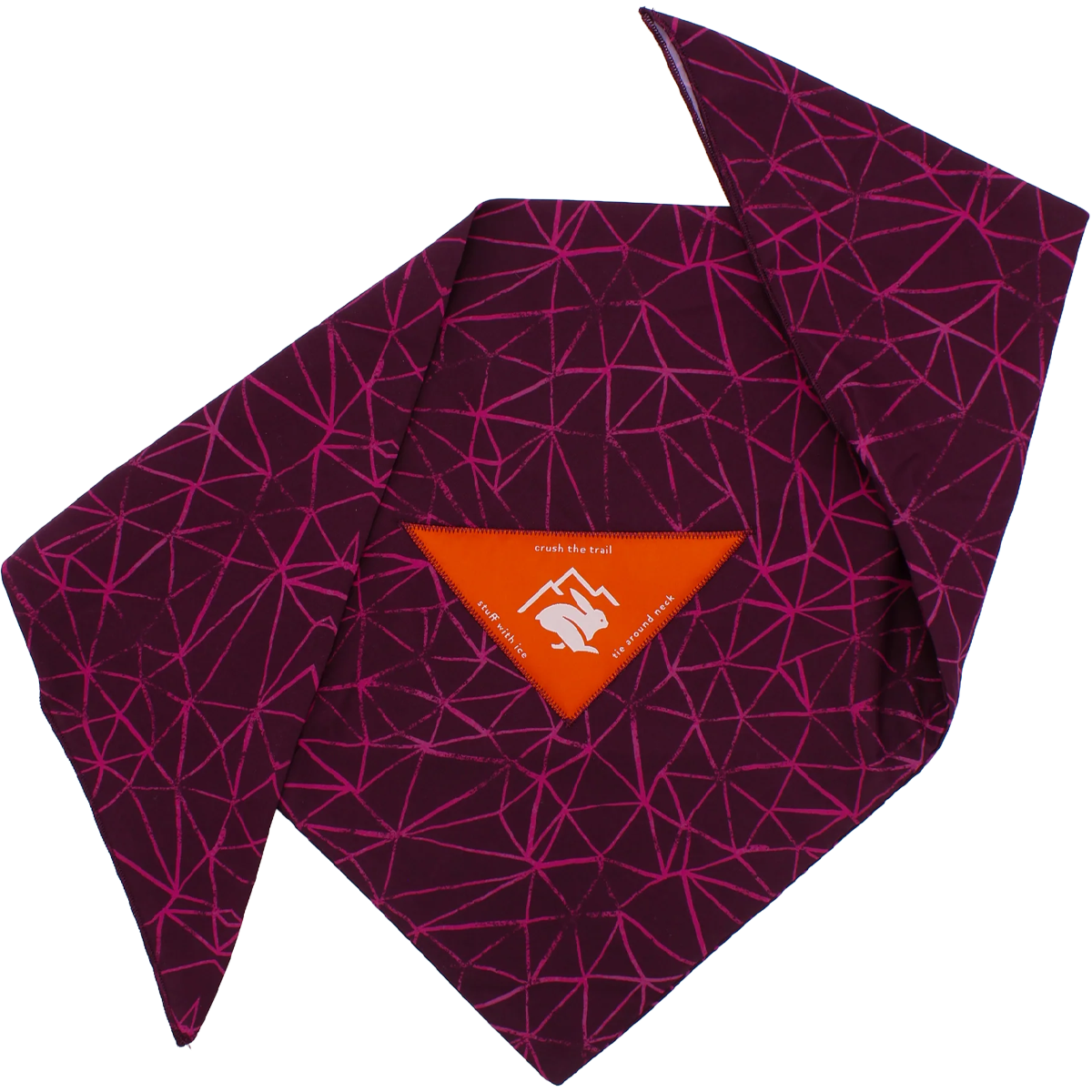 Ice Rad-Dana alternate view