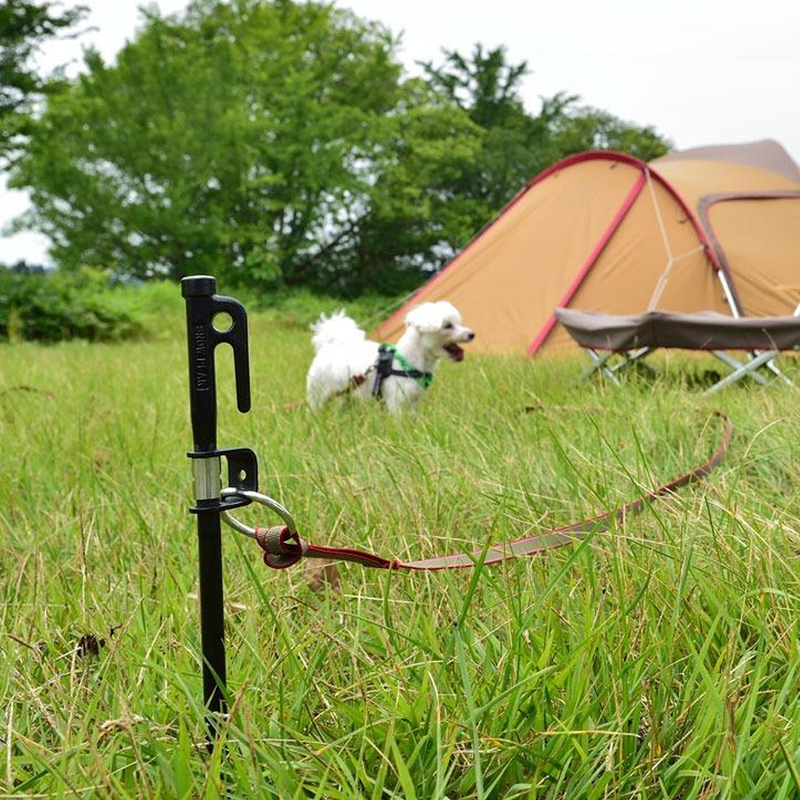 Dog Lead Anchor 50, Snow Peak Dog Lead Anchor 50 at camp