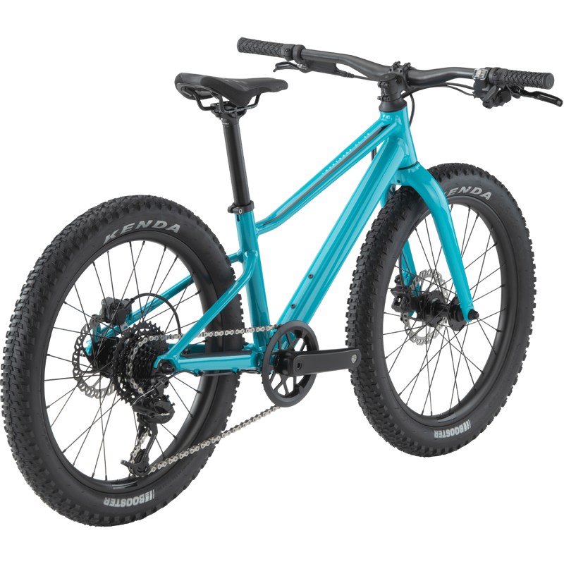 Youth Twostroke AL 20 V2, BMC Youth Twostroke AL 20 V2 3/4 Back