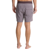 Roark Men's Chiller 17" Boardshorts in SHK Shark back