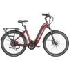 Electric Bikes