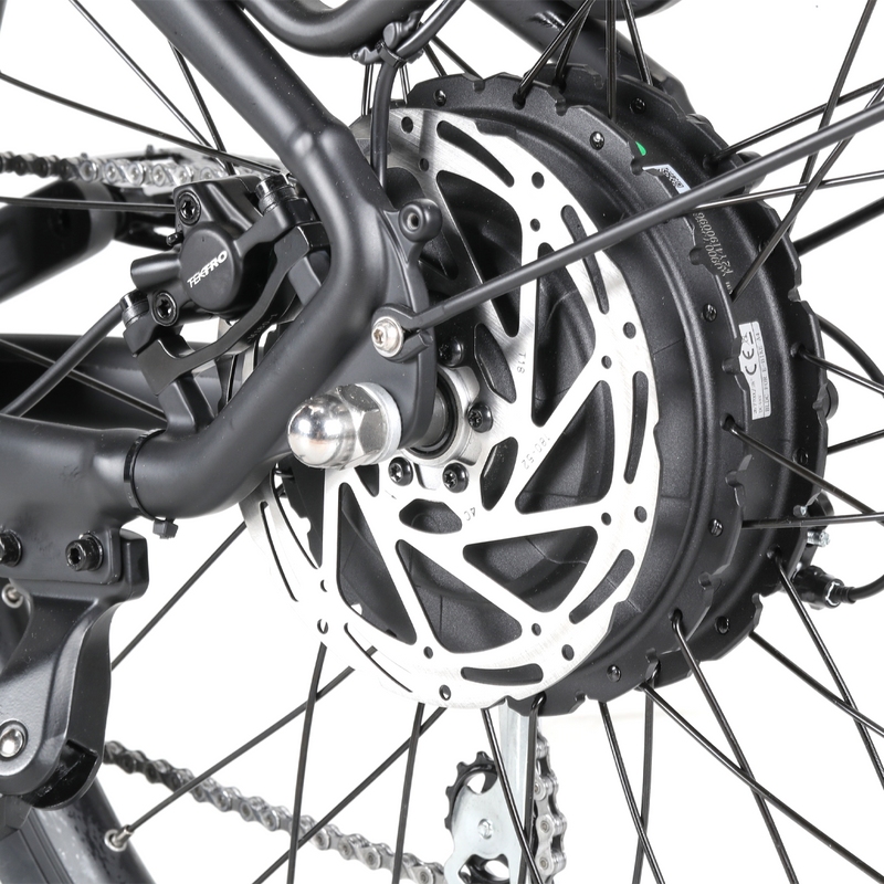 Trax Plus 750W/30Ah, Troxus Trax Plus 750W/30Ah Step-Thru rear hub