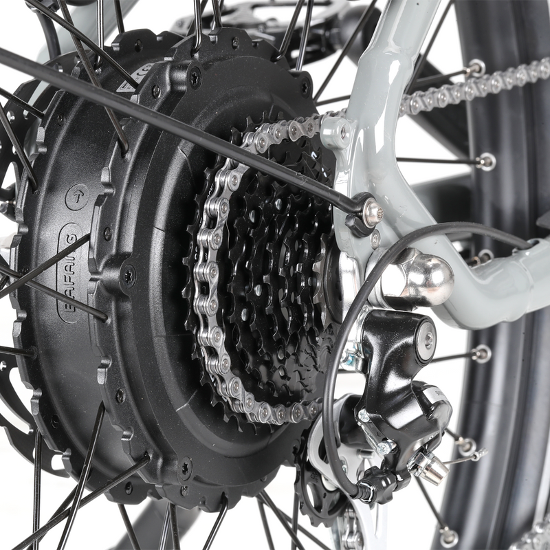 Trax Plus 750W/30Ah, Troxus Trax Plus 750W/30Ah Step-Thru motor