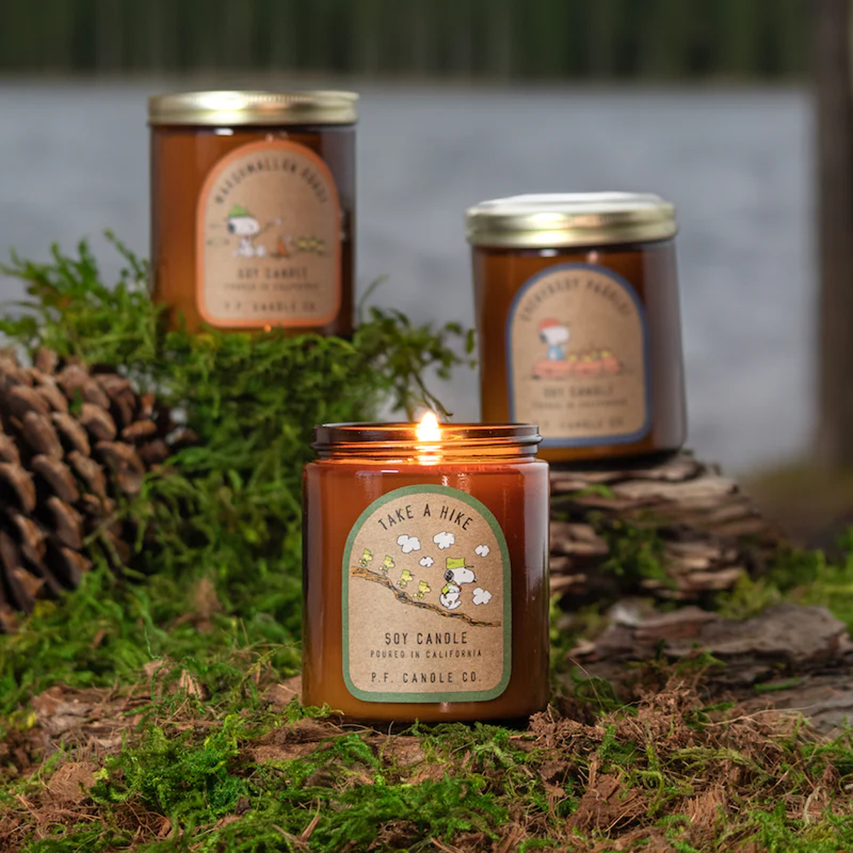 Peanut Take a Hike 7.2oz Candle alternate view