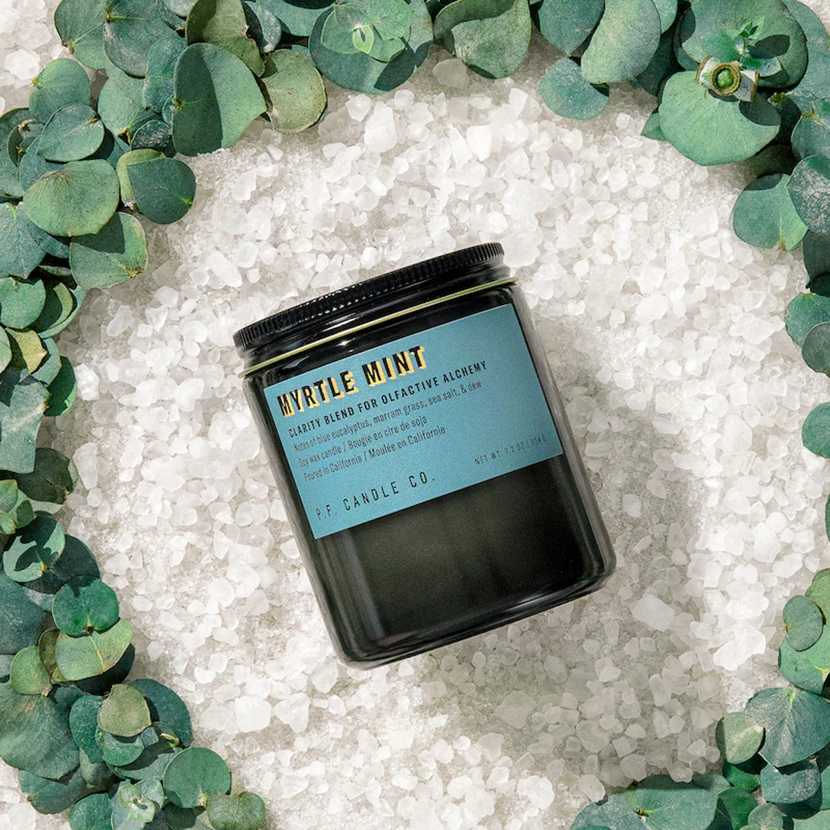 Alchemy Myrtle Mint 7.2oz Candle alternate view