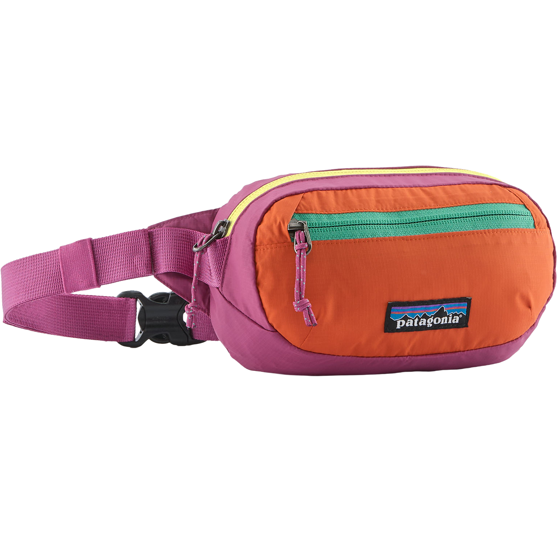 Terravia Mini Hip Pack alternate view
