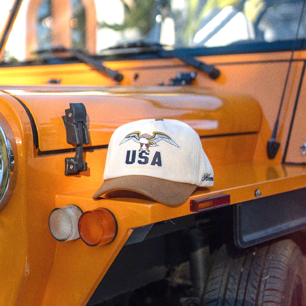 Men's USA Baseball Hat alternate view