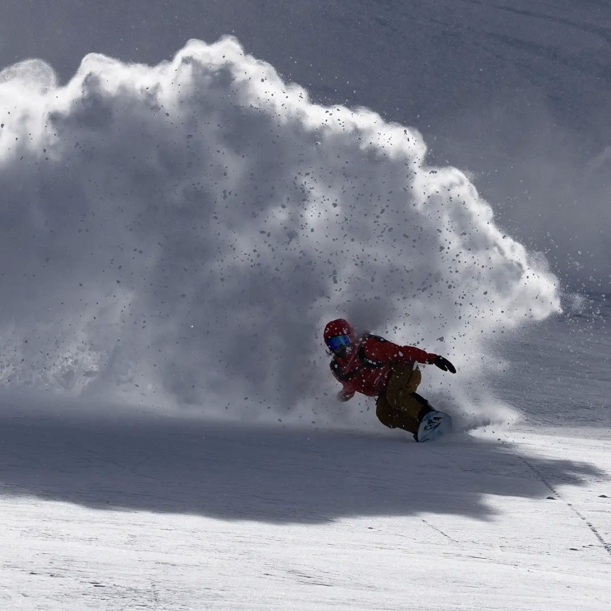 Storm Wolf alternate view