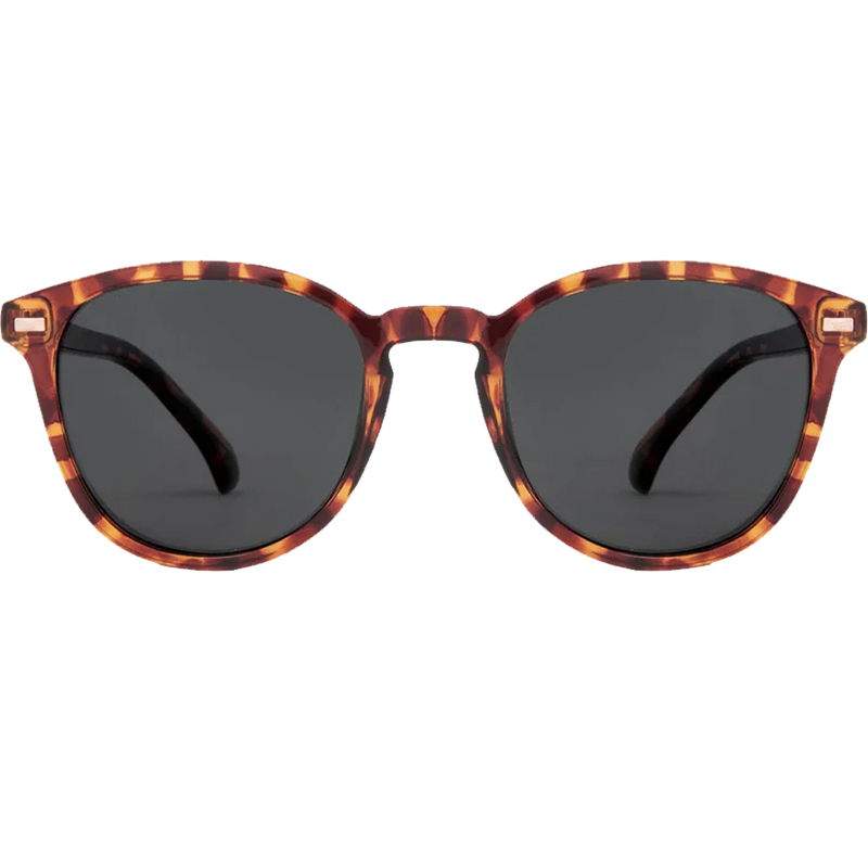Oslo Polarized, Featured Image