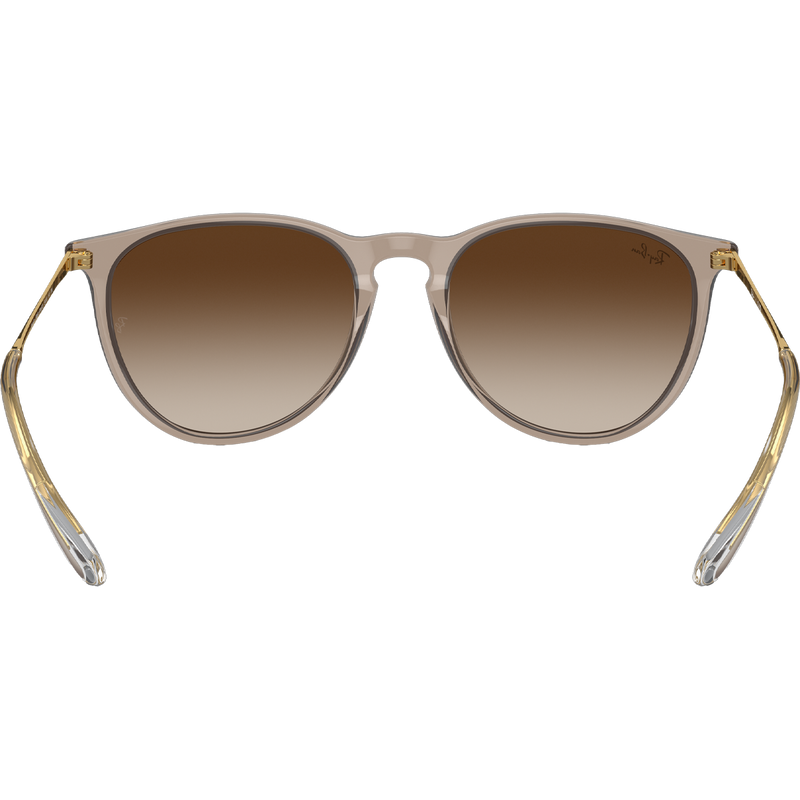 Erika - Polished Transparent Light Brown/Brown, Ray Ban Polished Transparent Light Brown Brown back