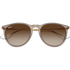 Polished Transparent Light Brown/Brown