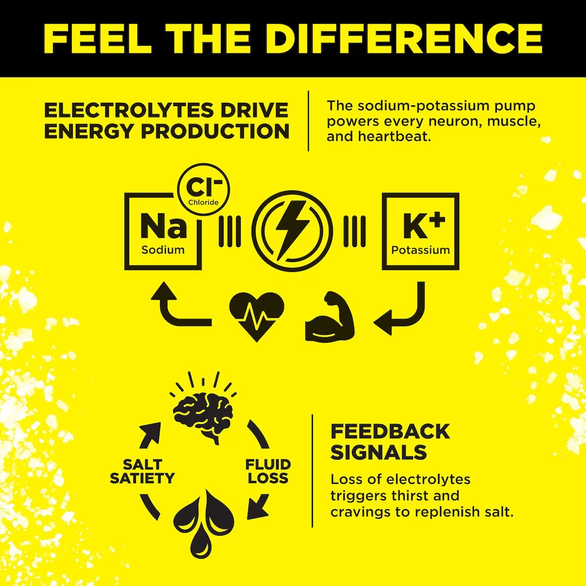 Zero-Sugar Electrolyte Drink Mix alternate view