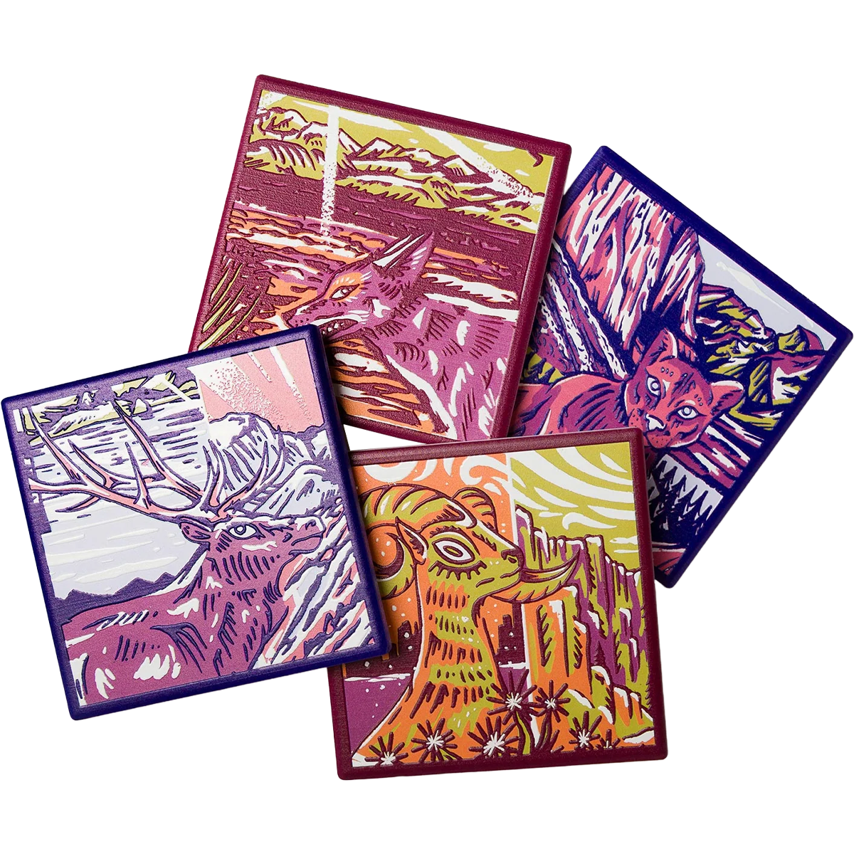 National Park Naturalist Coaster Set alternate view