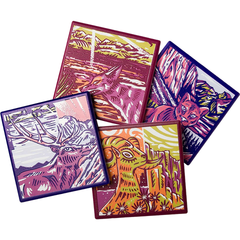 National Park Naturalist Coaster Set