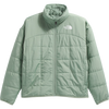 BQ1-Slate Moss