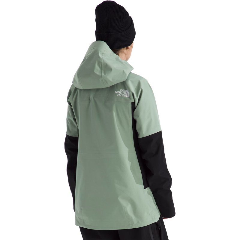 Women's Summit Eastwall GTX Jacket, The North Face Women's Summit Eastwall GTX Jacket Back