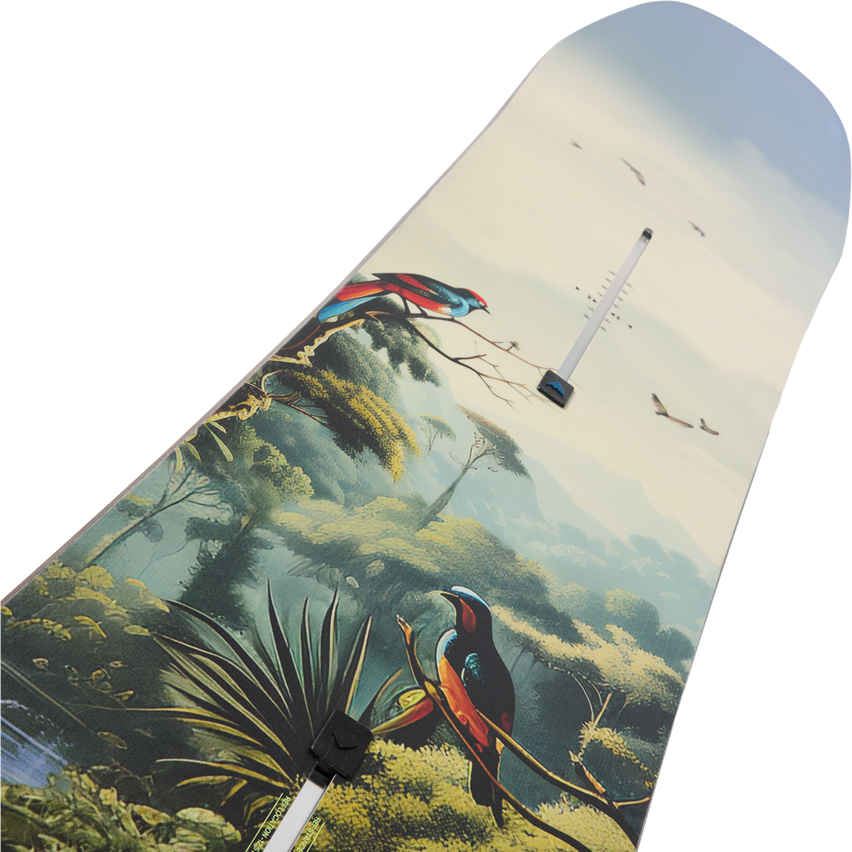 Custom Camber Jungle alternate view