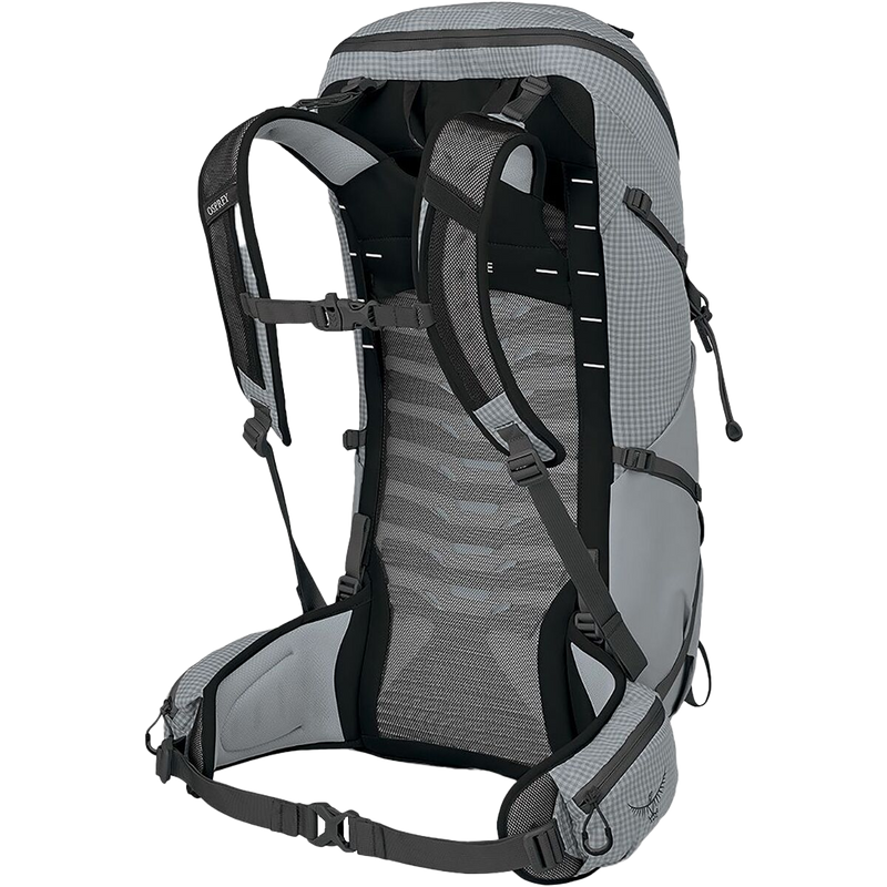 Talon Pro 30, Osprey Talon Pro 30 in Silver Lining back harness