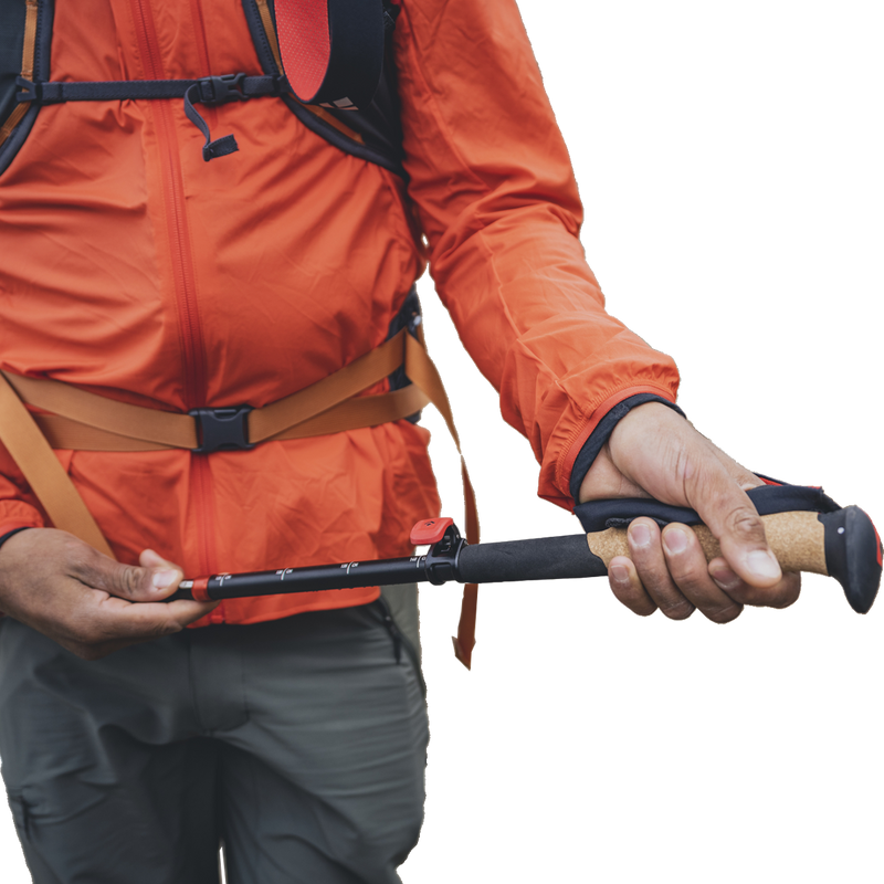 Pursuit FLZ Trekking Poles, Black Diamond Pursuit FLZ Trekking Poles Adjustment
