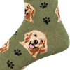 Socksmith Who's A Good Boy Heel