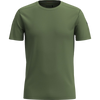 N06-Fern Green