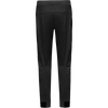 Gore Bike Wear Men's Passion Pants back