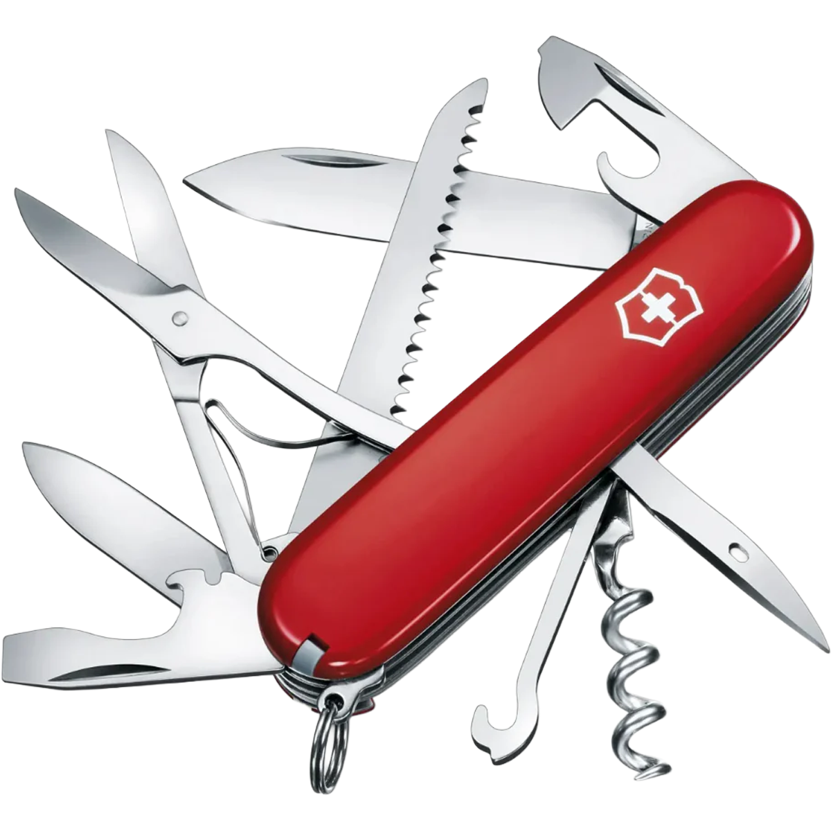 Huntsman alternate view