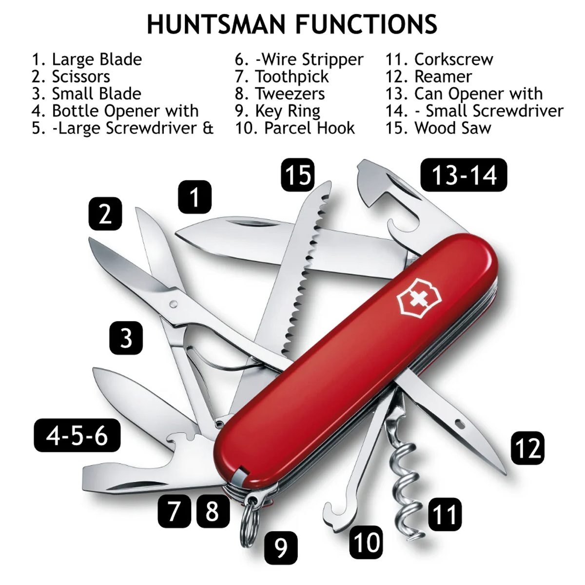 Huntsman alternate view