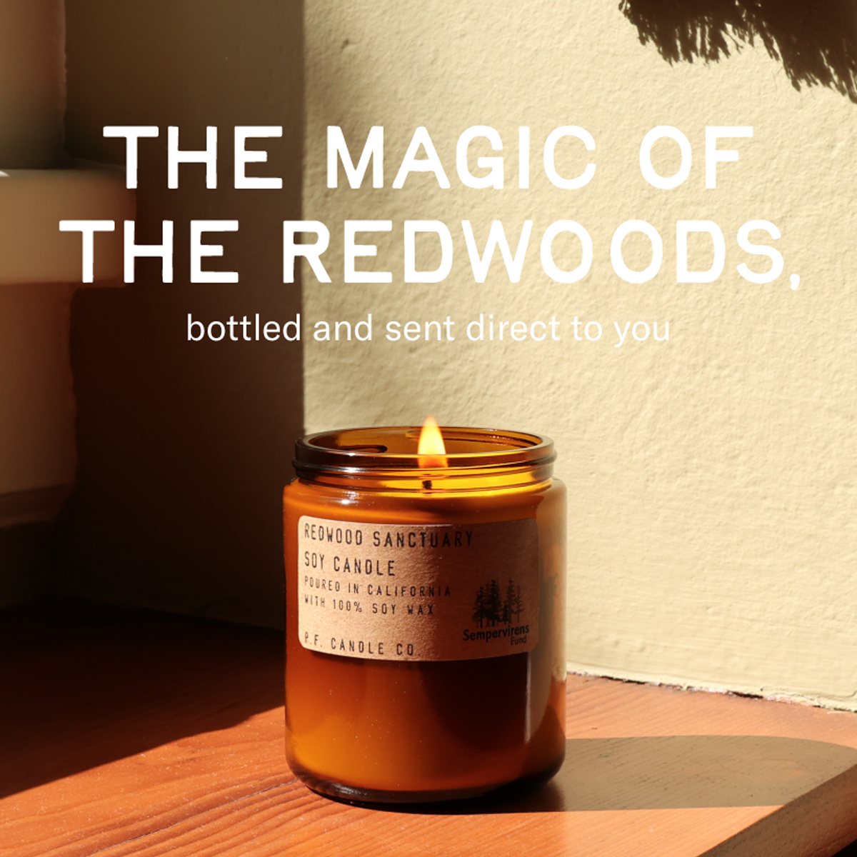 Redwood Sempervirens Fund 7.2oz alternate view
