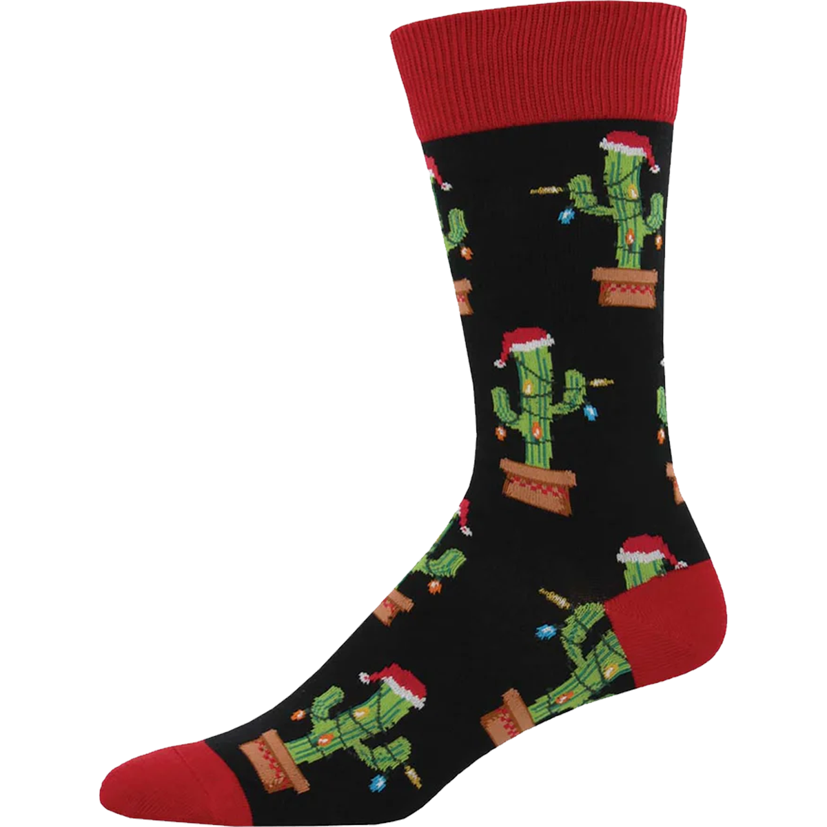 Christmas Cactus alternate view