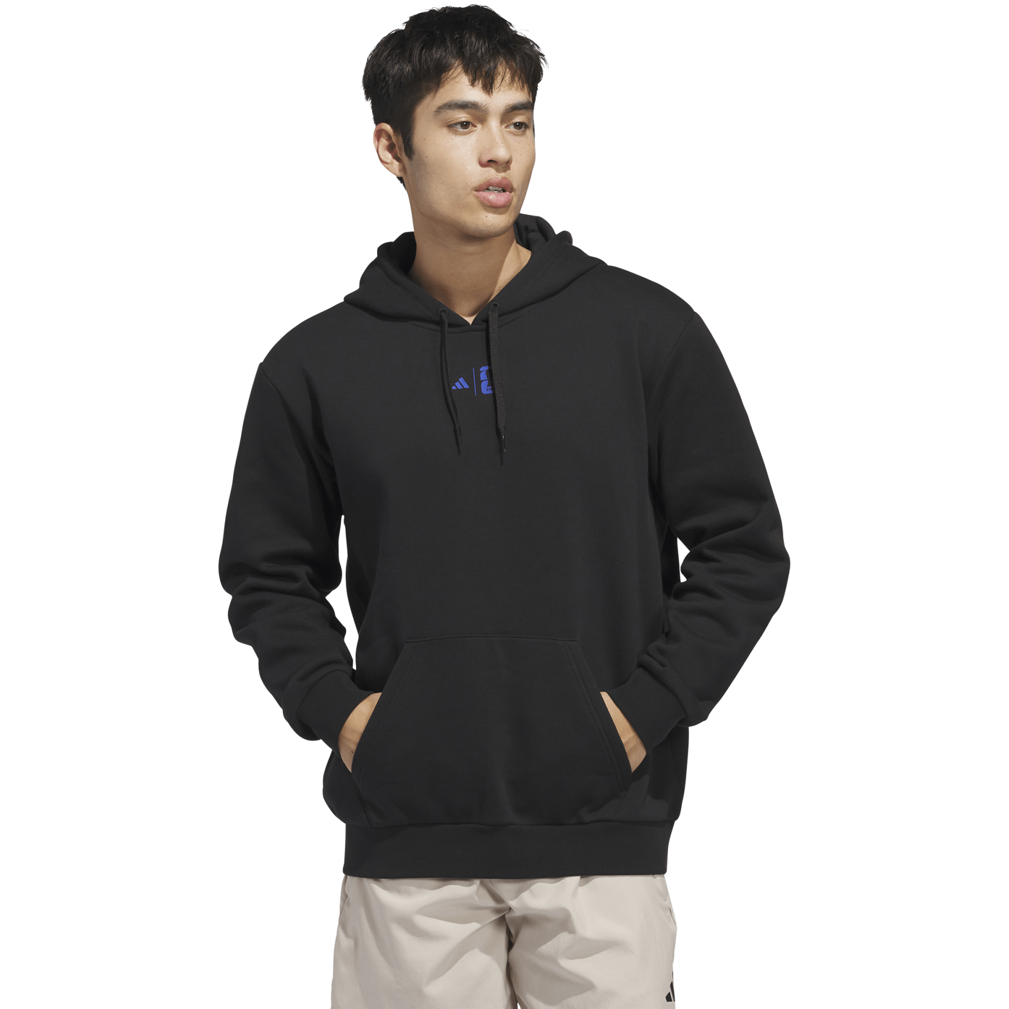 Men's World Cup Tour Hoodie alternate view