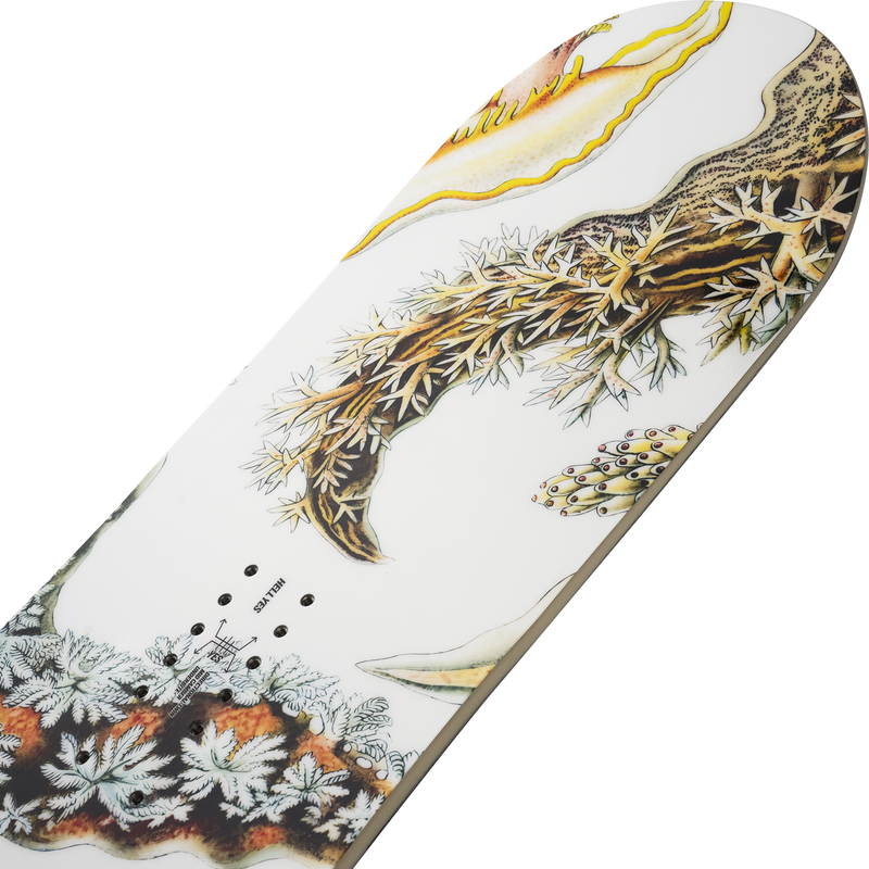 Yes Women's Hell Yes Demo Snowboard, Yes Women's Hell Yes nose