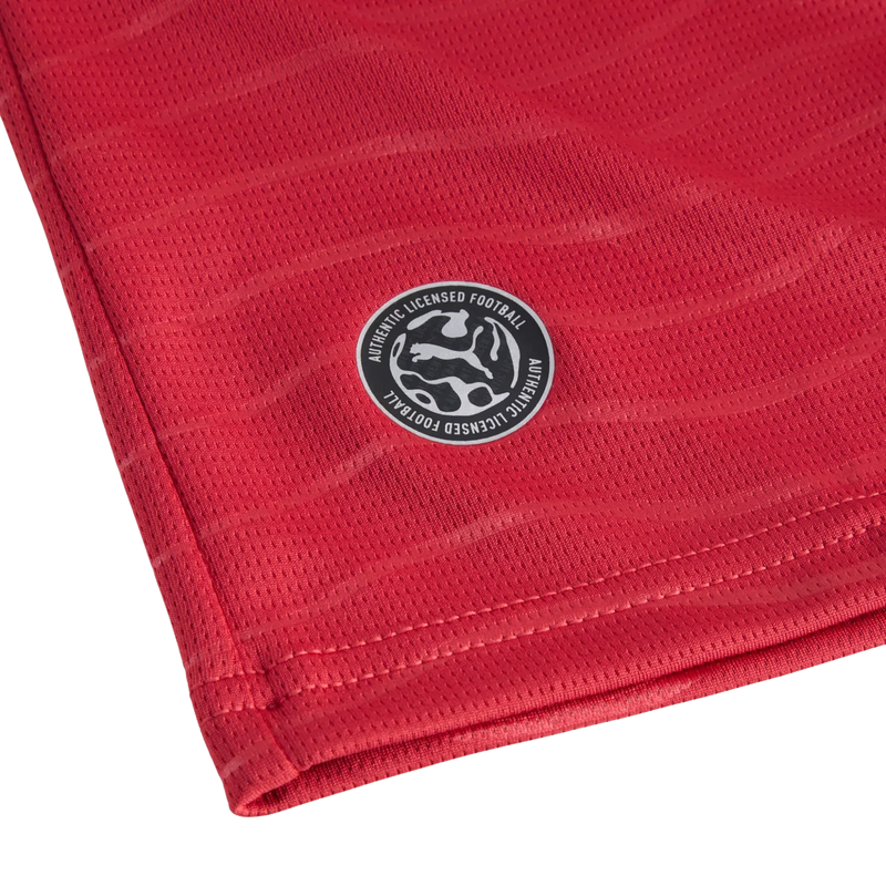 Portugal FPF Home Jersey Replica Player, Puma Portugal FPF Home Jersey Replica Player in 77-Club Red/Green Lagoon front right licensed logo