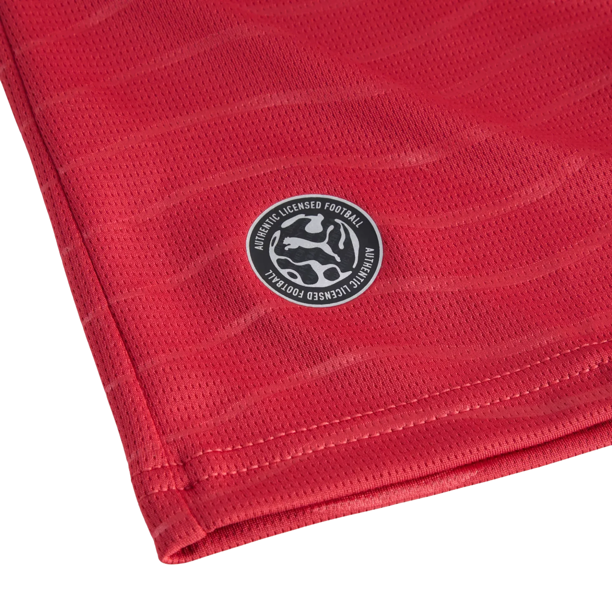 Portugal FPF Home Jersey Replica Player alternate view