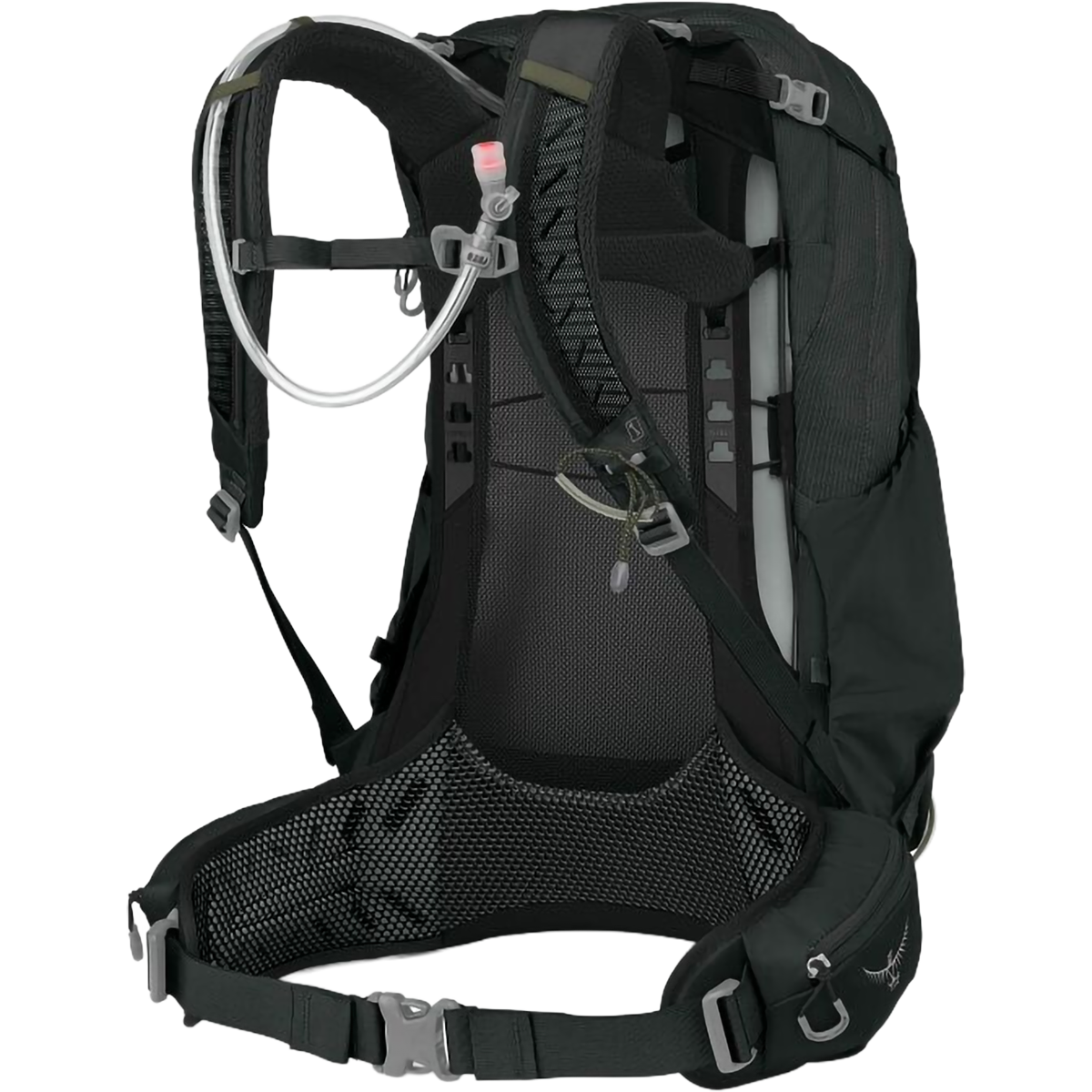 Manta 34 with reservoir alternate view