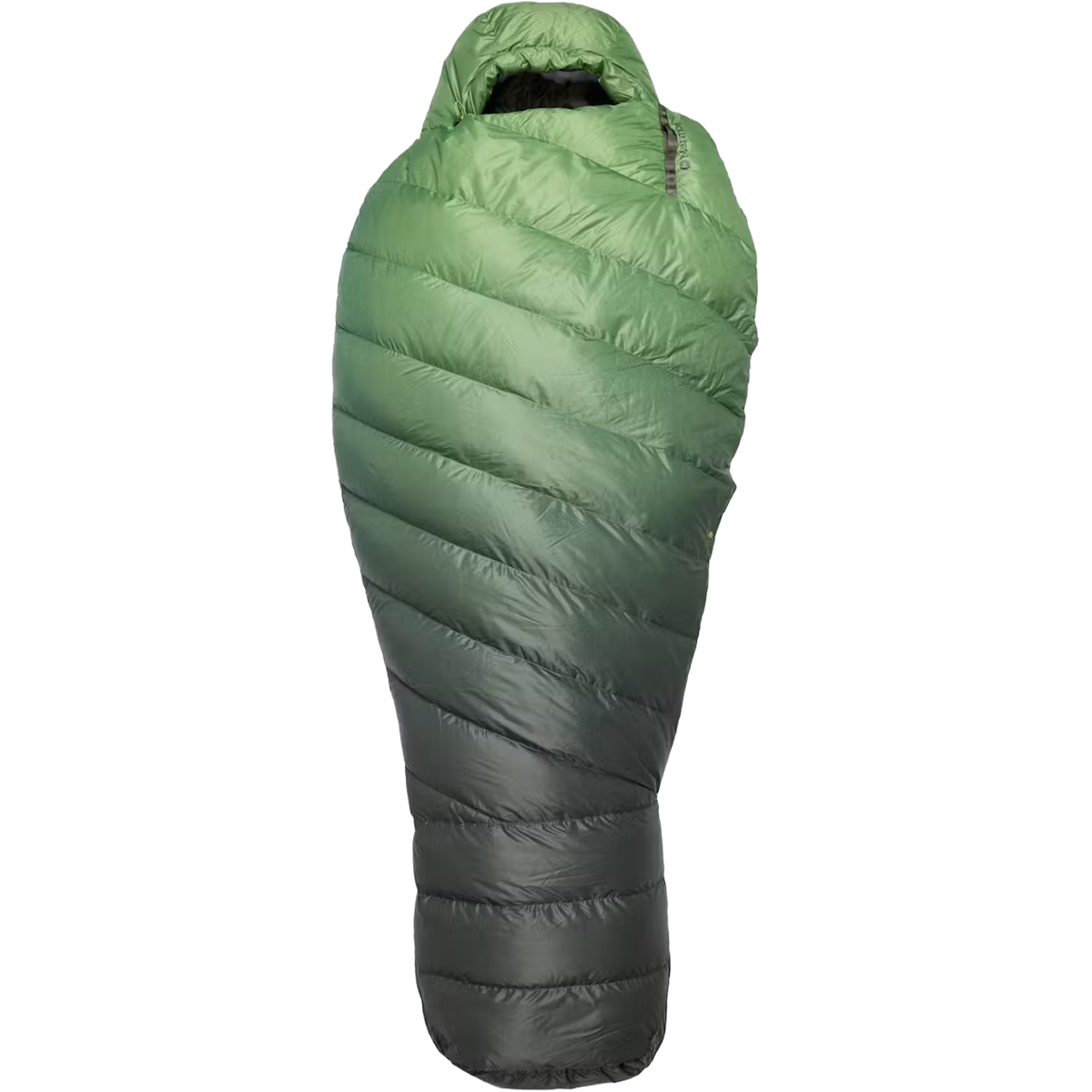 Wraptor 30 Down Regular alternate view