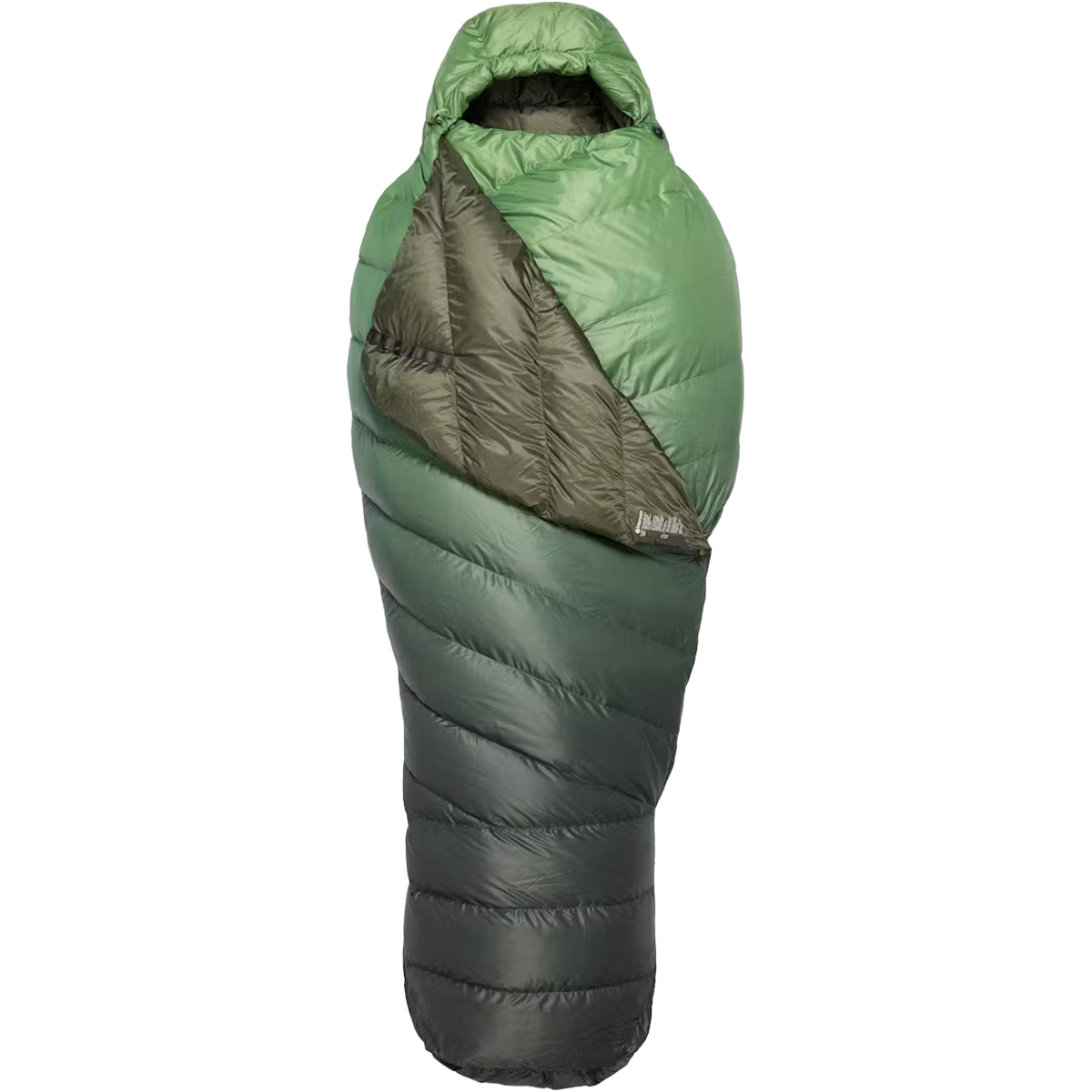 Wraptor 30 Down Regular alternate view