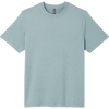 HYB-Misty Blue Heather