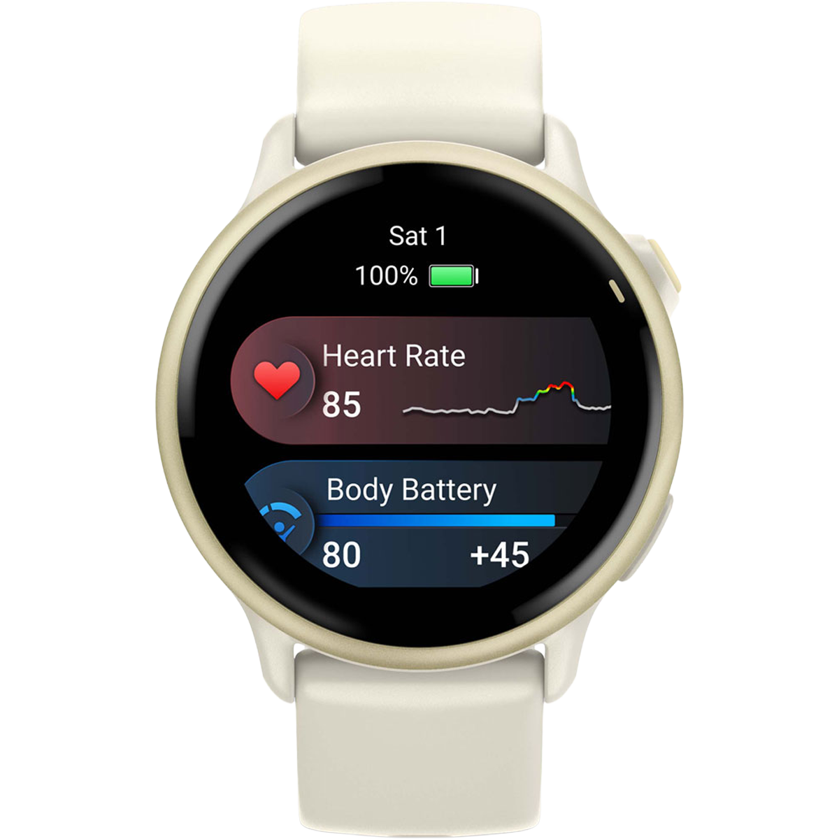 Vivoactive 6 alternate view