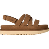 CHE-Chestnut