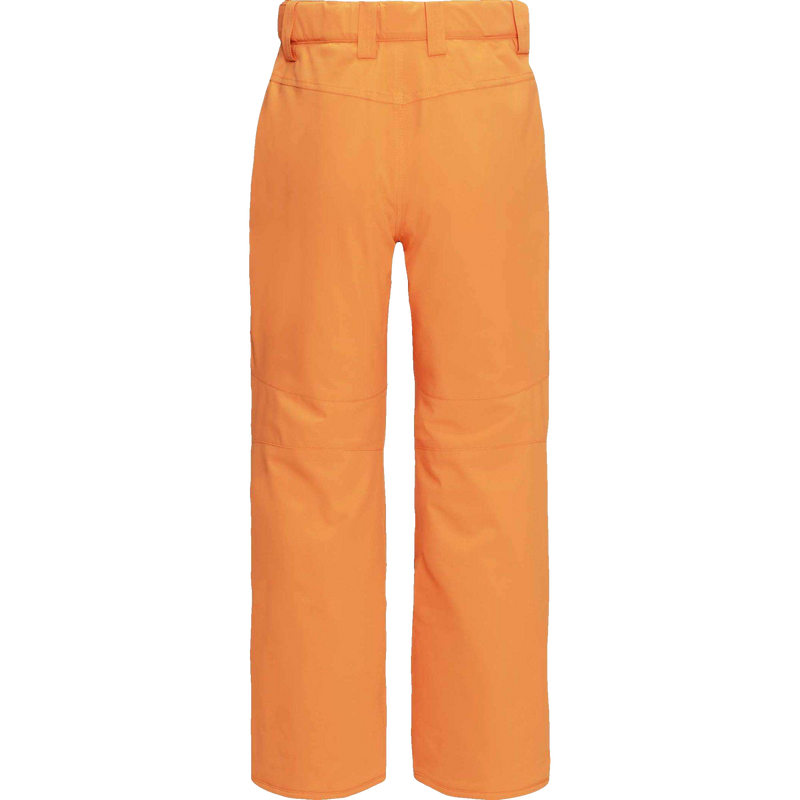 Youth Estate Pant, Quiksilver Youth Estate Pant Back