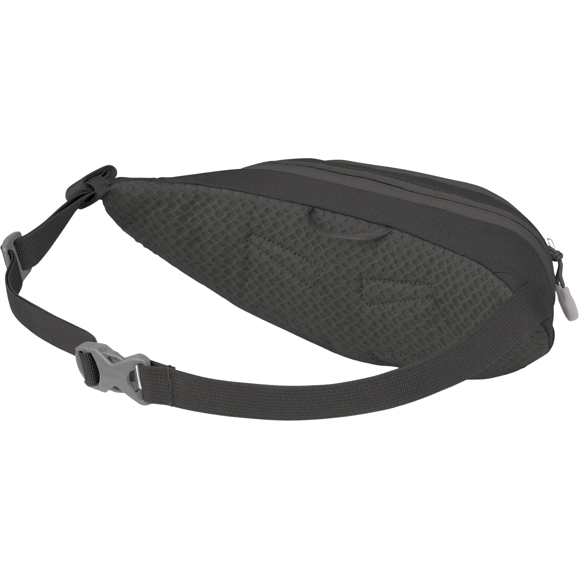 Daylite Mini Waist Pack alternate view