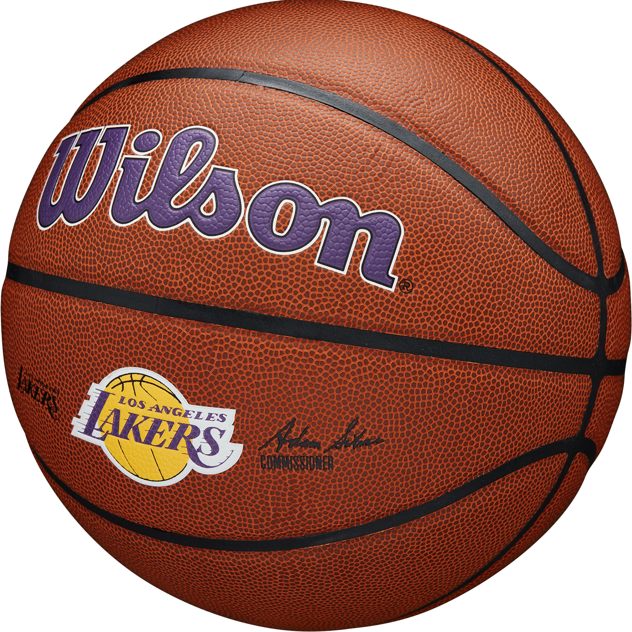 NBA Team Alliance Basketball LA Lakers alternate view