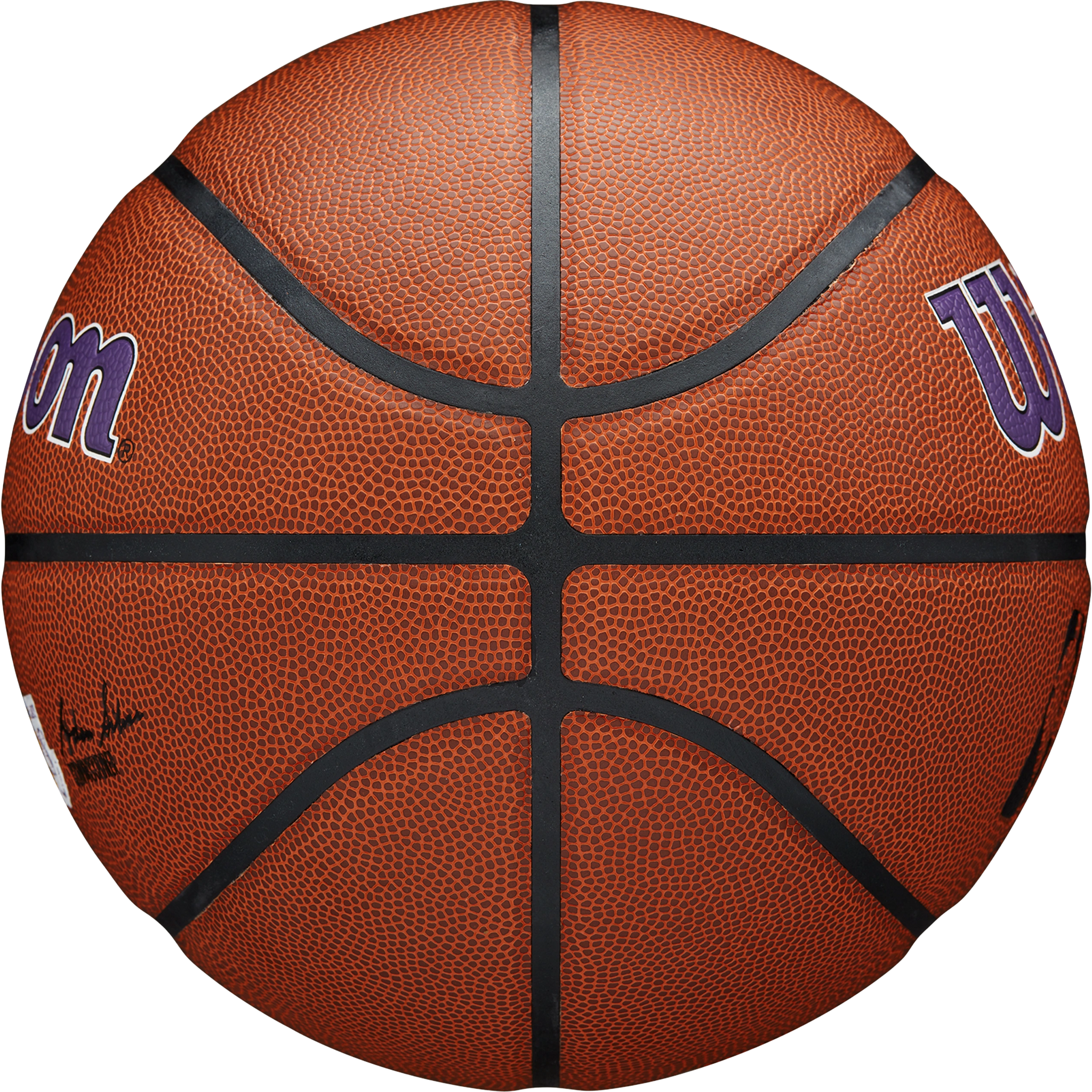 NBA Team Alliance Basketball Lakers - 29.5
