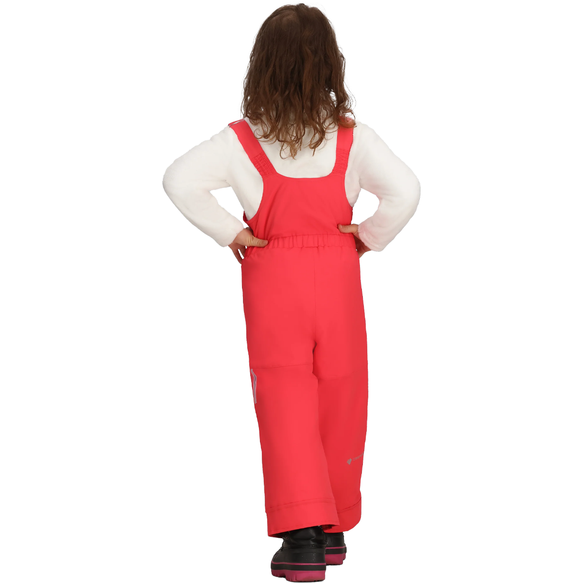 Youth Toddler Snoverall Bib Pant alternate view